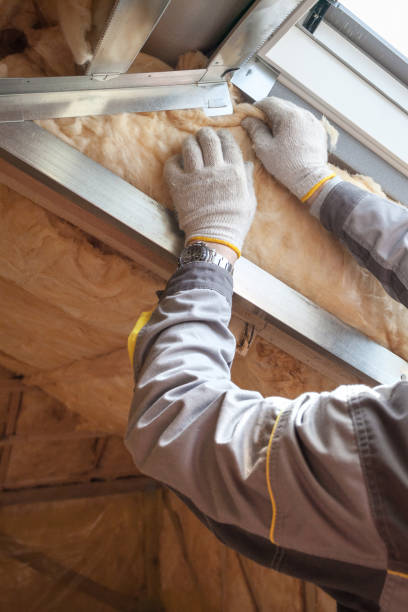 Insulation Replacement Services in Crystal Lake, FL